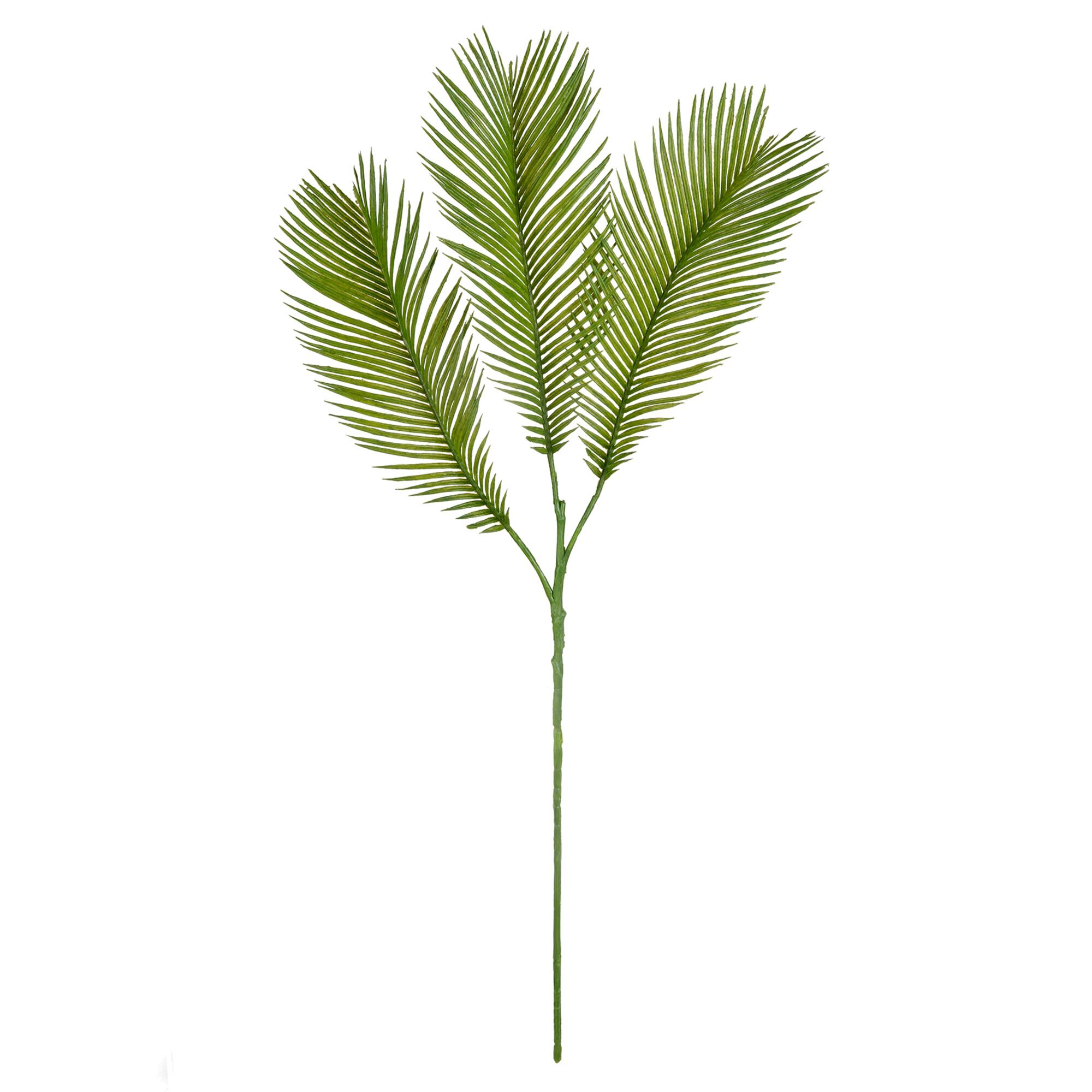 Green Sago Palm Stem by Ashland®